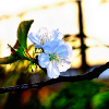 bild-4